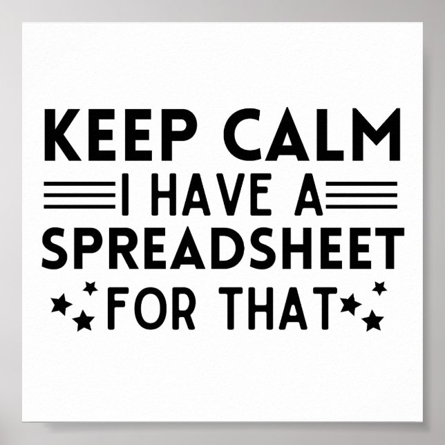 Funny Keep calm I have a spreadsheet for that Poster (Front)
