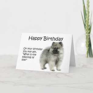 Funny Keeshond Puppy Birthday Card