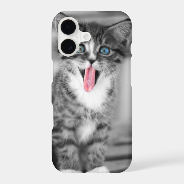 Funny Kitten (Back)