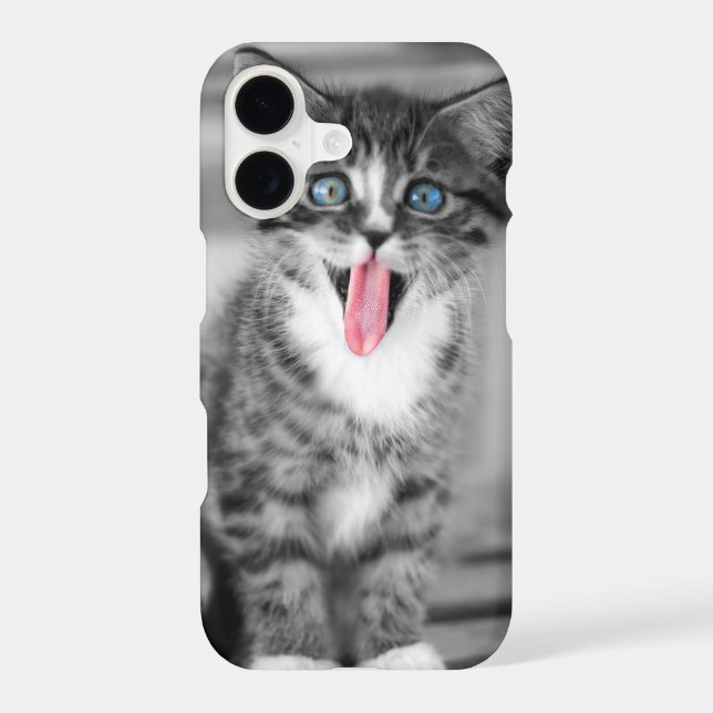 Funny Kitten (Back)