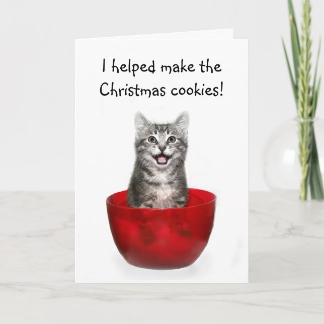 Funny kitten Christmas card (Front)