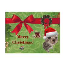 funny kitten Christmas card
