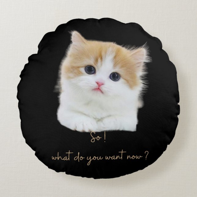 Funny Kitten Sassy Quote Round Throw Pillow (Front)
