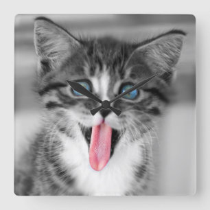 Funny Kitten Square Wall Clock