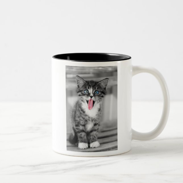 Funny Kitten Two-Tone Coffee Mug (Right)