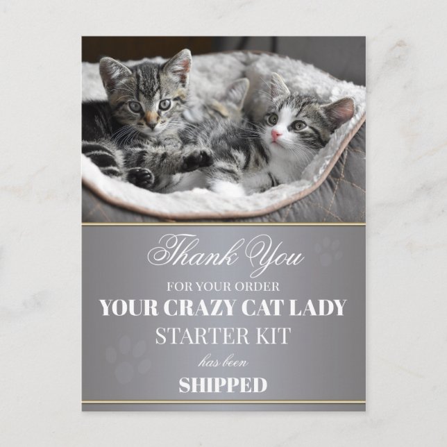 Funny Kittens Birthday Postcard (Front)