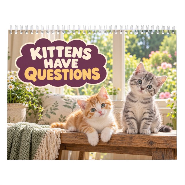 Funny Kittens Have Questions Calendar (Cover)