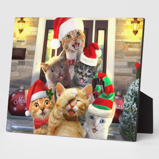 Funny kittens in Christmas Day Plaque (Side)