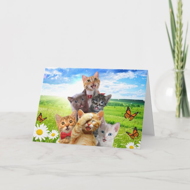 Funny kittens in green field.                      card (Front)