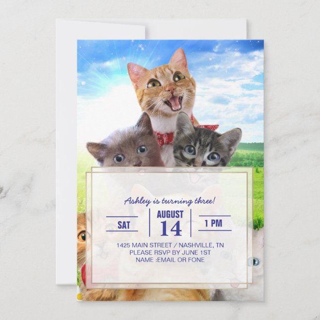 Funny kittens in green field.                      invitation (Front)