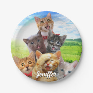 Funny kittens in green field. paper plate