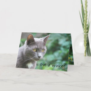 Funny Kitty Cat Card