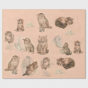 FUNNY KITTY CAT STORIES IN PINK WRAPPING PAPER