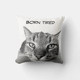 Funny kitty cushion