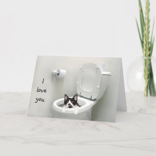 Funny kitty love or Valentine Holiday Card