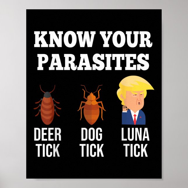 Funny Know Your Parasites Anti Trump Tick 2024 Ele Poster (Front)