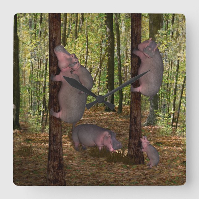 Funny Koala-Wannabe Hippos Square Wall Clock (Front)