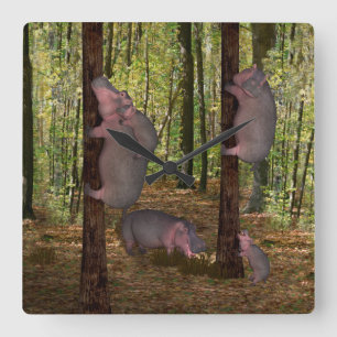 Funny Koala-Wannabe Hippos Square Wall Clock