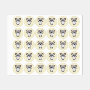 Funny Koalas
