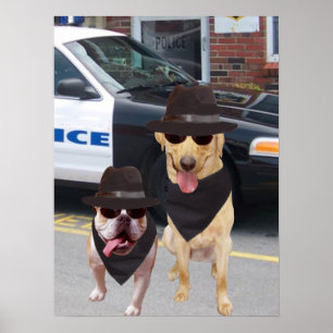 Funny Lab and Bull Dog Poster