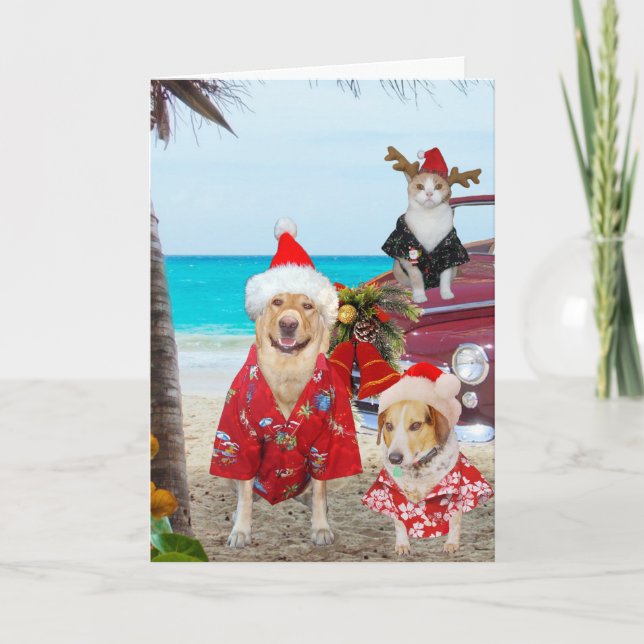 Funny Lab/Dog and Cat Hawaiian/Surfer Christmas Holiday Card (Front)