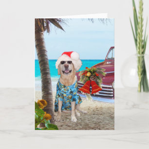 Funny Lab/Dog Hawaiian/Surfer Christmas Holiday Card