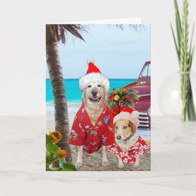 Funny Lab/Dog Hawaiian/Surfer Christmas Holiday Card (Front)