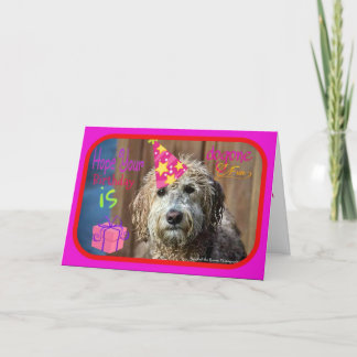 Funny Labradoodle happy birthday greeting card