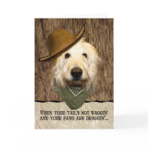 Funny Labradoodle In Cowboy Hat Bandanna Get Well