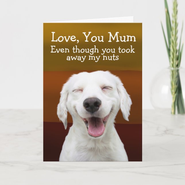 Funny labrador birthday card (Front)