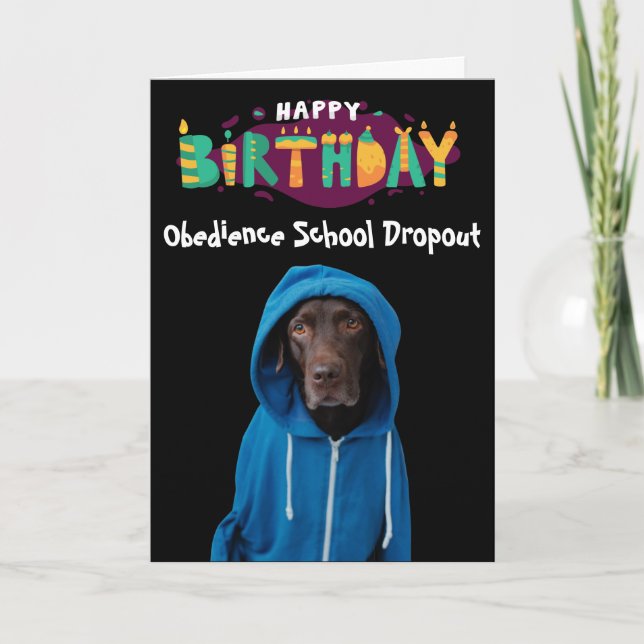 Funny Labrador dog birthday card (Front)
