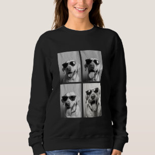 Funny Labrador Dogs with Sunglasses Cool Animals P Sweatshirt