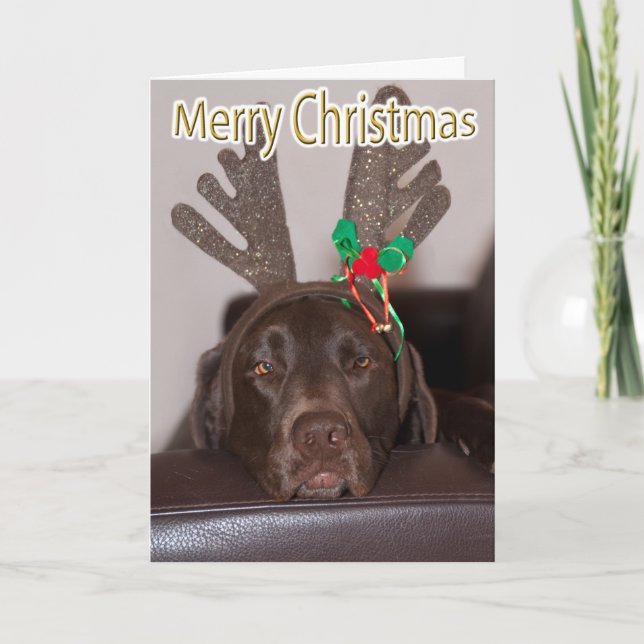 Funny Labrador Glitter Antlers Custom Text Inside Holiday Card (Front)