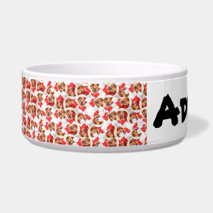 Funny Labrador Name Christmas Pattern