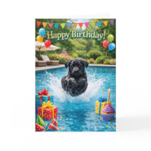 Funny Labrador puppy pool splash