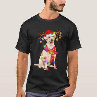 Funny Labrador Santa Hat Xmas Lights Gift Dog Love T-Shirt