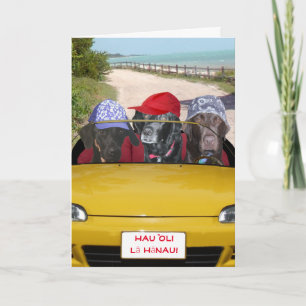 Funny Labs on the Beach Birthday Card