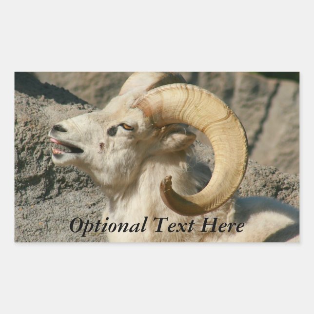 Funny Laughing Bighorn Sheep or Ram Rectangular Sticker (Front)