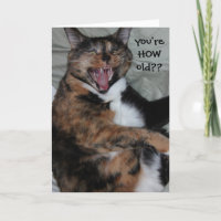 Funny Laughing Cat, Oldtimer (Antique) Birthday