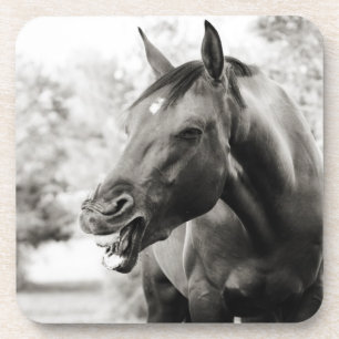 Funny Laughing Horse Coaster