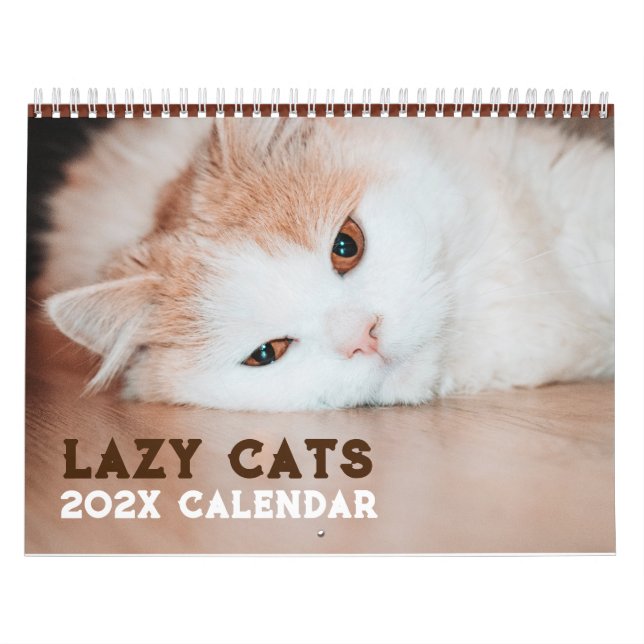 Funny Lazy Cats 2026 Calendar (Cover)