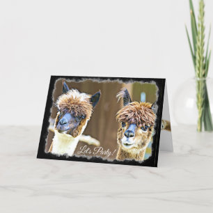 Funny Let's Party Alpaca Birthday Card