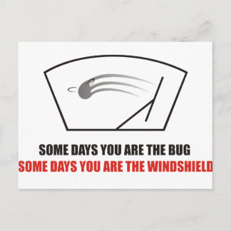 Funny - Life as Bugs on a windshield. Postcard