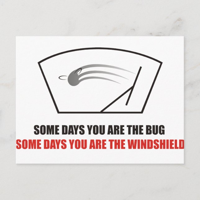 Funny - Life as Bugs on a windshield. Postcard (Front)