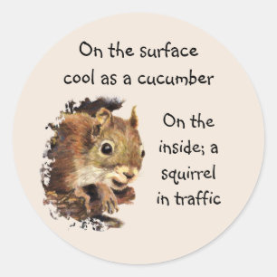 Funny Life Quote Surface Cool Inside Squirrel  Classic Round Sticker