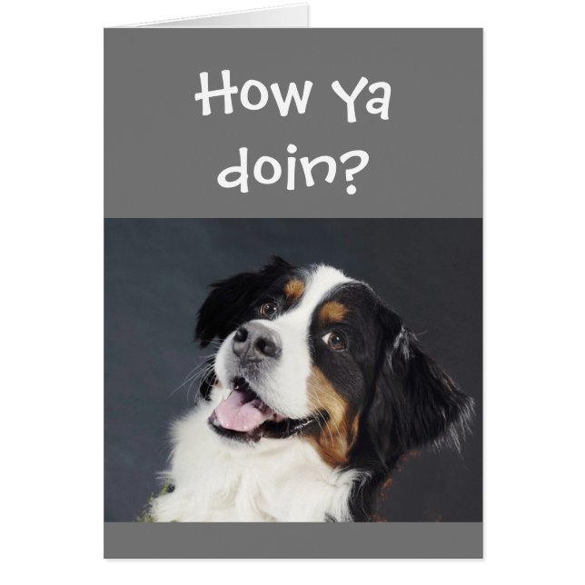 Funny Lighthearted Thinking of You Cute Dog (Front)