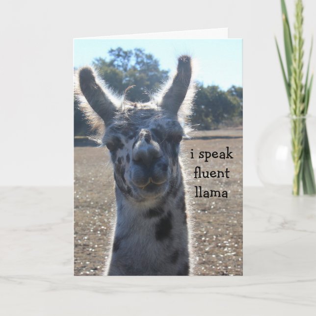 Funny Llama Birthday Card, I speak fluent llama. Card (Front)