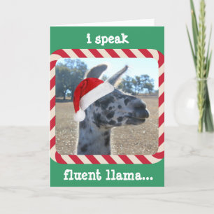 Funny Llama Christma Card, I speak fluent llama... Holiday Card