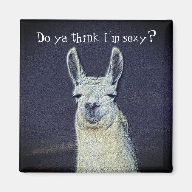 Funny Llama Face Animal  Magnet (Front)