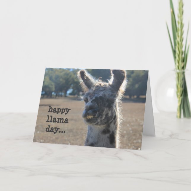 Funny Llama Mother's Day Card (Front)